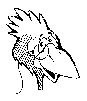 Dr. Beak
